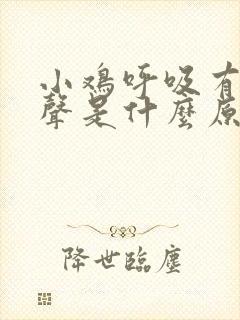 小鸡呼吸有呼噜声是什么原因