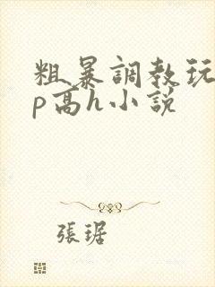 粗暴调教玩弄np高h小说