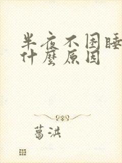 半夜不困睡不着什么原因