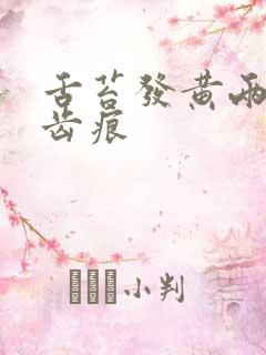 舌苔发黄两边有齿痕