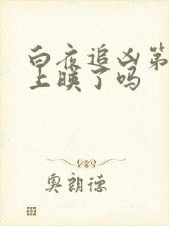 白夜追凶第二季上映了吗