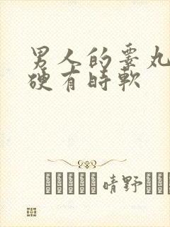 男人的睾丸有时硬有时软