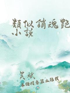 类似销魂艳婢的小说