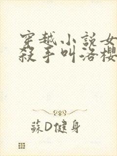 穿越小说女主是杀手叫洛樱