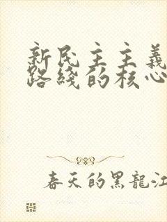 新民主主义革命路线的核心是( ).