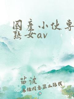 国产小伙专约老熟女av