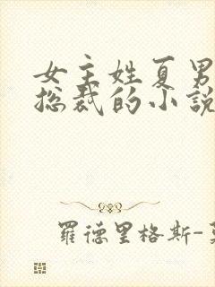 女主姓夏男主是总裁的小说