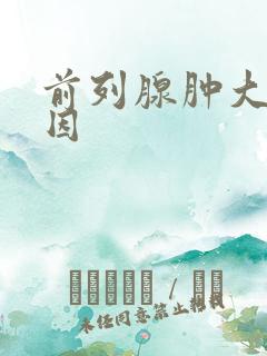 前列腺肿大啥原因