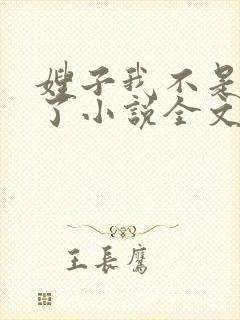 嫂子我不是傻子了小说全文阅读