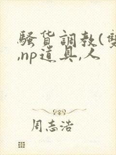 骚货调教(双性,np道具,人