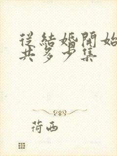 从结婚开始恋爱共多少集