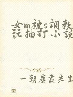 女m被s调教虐玩抽打小说