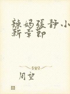 辣妈张静小说最新章节