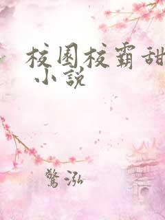 校园校霸甜宠文 小说