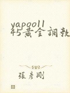 yapoo1145黄金调教vk