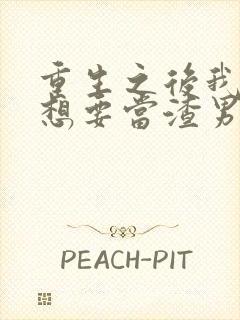 重生之后我真没想要当渣男