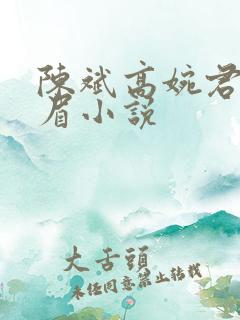 陈斌高婉君赵心眉小说