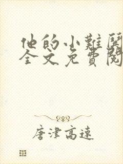 他的小难哄小说全文免费阅读