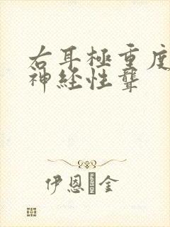 右耳极重度感音神经性聋