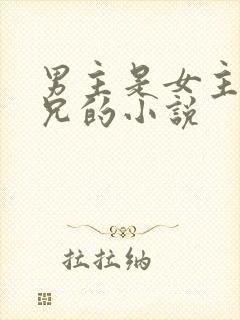 男主是女主的继兄的小说