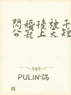闪婚后被千亿老公宠上天短剧在线观看