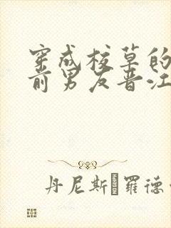 穿成校草的炮灰前男友晋江