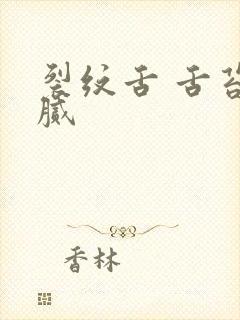 裂纹舌 舌苔黄腻