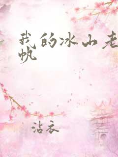 我的冰山老婆叶帆