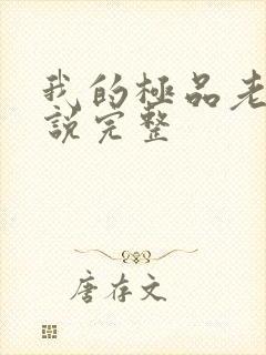 我的极品老婆小说完整