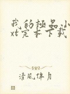 我的极品小姨txt完本下载