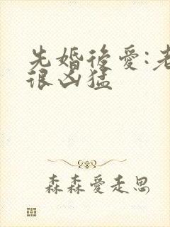 先婚后爱:老公很凶猛