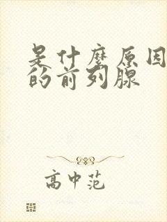 是什么原因导致的前列腺