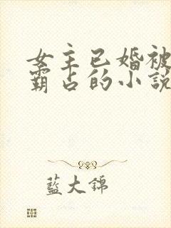 女主已婚被男主霸占的小说