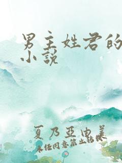 男主姓君的现代小说