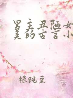 男主丑陋女主貌美的古言小说