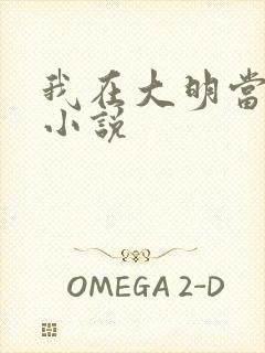 我在大明当暴君小说