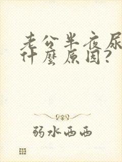 老公半夜尿床是什么原因?