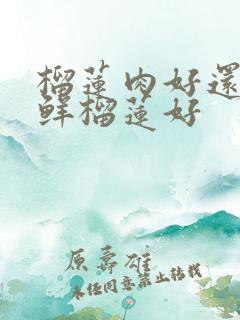 榴莲肉好还是新鲜榴莲好