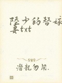 陆少的替嫁小娇妻txt
