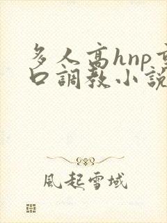 多人高hnp重口调教小说