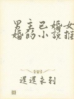 男主已婚女主未婚的小说推荐