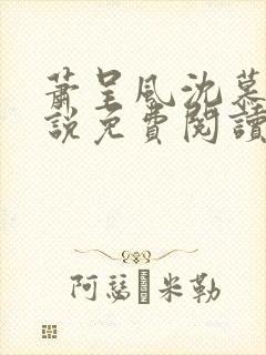 萧呈风沈慕卿小说免费阅读最新章节