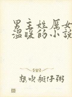 男主姓厉女主叫温暖的小说