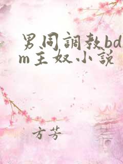 男同调教bdsm主奴小说