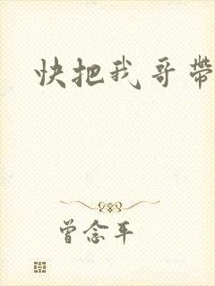 快把我哥带走免