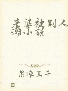 老婆被别人操高潮小说