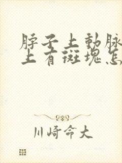 脖子上动脉血管上有斑块怎么处理