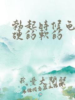 勃起时候龟头是硬的软的