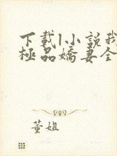 下载l小说我的极品娇妻全部