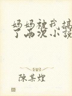 妈妈被我搞怀孕了两次小说